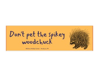 Don't Pet the Spikey Woodchuck Autoaufkleber | Stachelschwein Design, Warnaufkleber