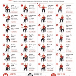 May include: A 28-day seated Tai Chi plan chart for men 60+ featuring 28 numbered illustrations of a person in a red shirt and grey pants performing various chair-based movements, with text instructions, benefits, success tips, and usage guidelines.