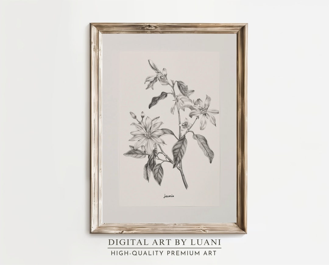 Jasmine Flower Art Wall Decor for Plant Lovers, Jasmine Botanical Print ...