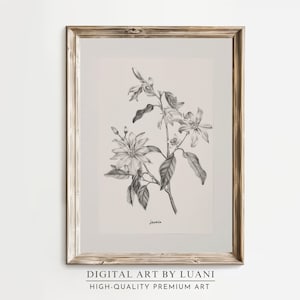 Jasmine Flower Art Wall Decor for Plant Lovers, Jasmine Botanical Print Floral Illustration