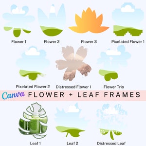 Op de afbeelding: Een set van 10 digitale bloemen- en bladerenframes in verschillende stijlen, waaronder gepixelde, verweerde en traditionele. De frames hebben een verscheidenheid aan kleuren, waaronder groen, blauw, oranje en wit. Canva FLOWER + LEAF FRAMES staat in roze en witte tekst bovenaan de afbeelding.