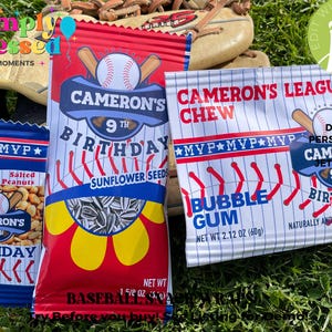 May include: Three baseball-themed party favour bags with red, white and blue designs. The bags are labelled "Cameron's 9th Birthday" and contain sunflower seeds, salted peanuts and bubble gum. The bags are sitting on a baseball glove and green grass.
