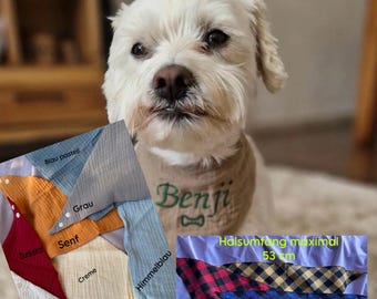 Stor hundbandana, hundbandana, bandana med namn, personlig hundbandana, hundtillbehör, husdjur, husdjursmode, hundar