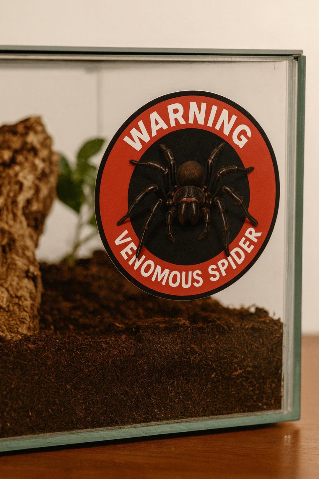 Venomous Spider Warning Sticker X 1 - Etsy