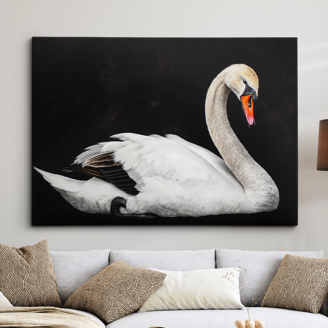 Elegant Swan Canvas Art - Black Background Animal Print - Framed Wall ...