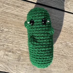Pickle Pal || Crocheted Amigurumi Plush