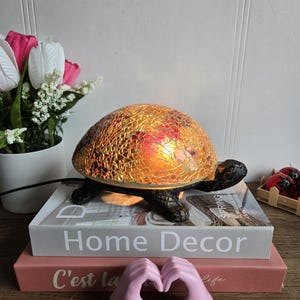 Vintage Bronze turtle bedside lamp with stained glass shell