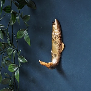 Può includere: Un gancio da parete in metallo color oro a forma di pesce, caratterizzato da squame e pinne dettagliate. Il gancio è montato verticalmente con due viti visibili lungo il corpo, con la coda curva verso l'alto per appendere vari oggetti.