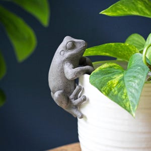 May include: A grey, textured frog figurine designed to hang onto the rim of a container. The frog has a smooth, rounded head, defined eyes, and limbs positioned as if gripping the edge of a white, ribbed planter with green foliage nearby.