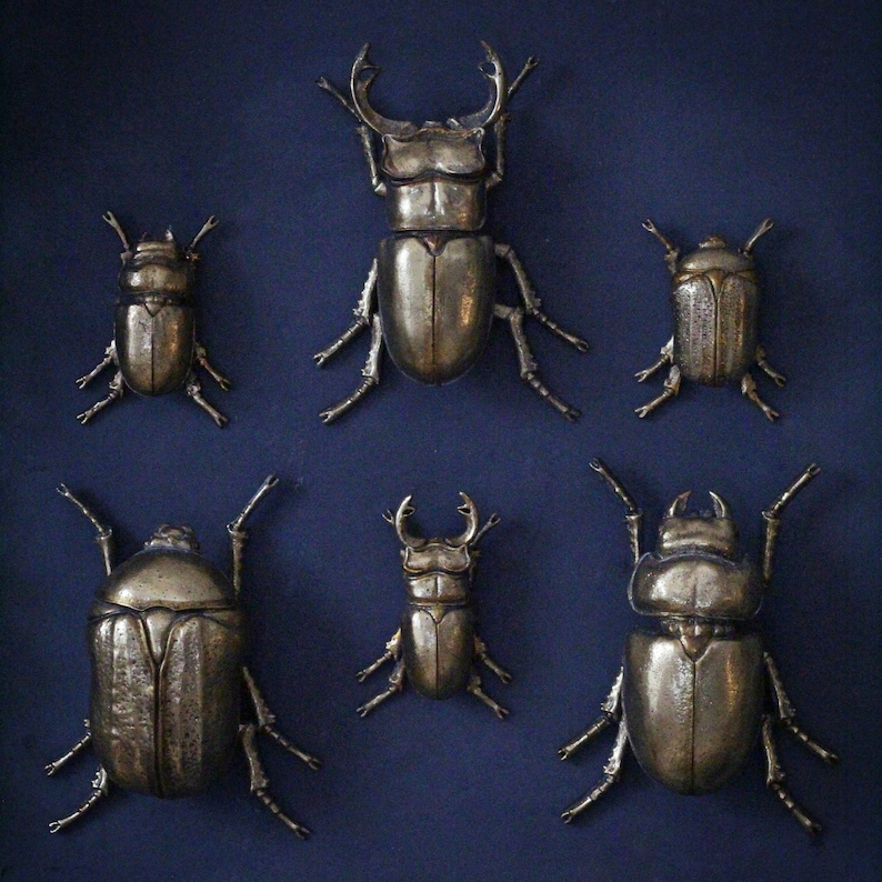 Large Gold Lady Stag Beetle image 4