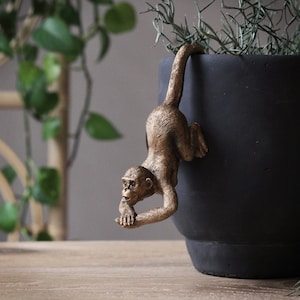 Bronze Monkey Tail Pot Hanger