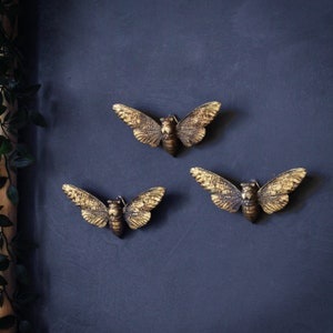 May include: Three bronze-colored metal cicada wall decorations with detailed wing patterns are mounted on a dark blue wall. The cicadas are arranged in a triangular pattern, showcasing their intricate design and texture.