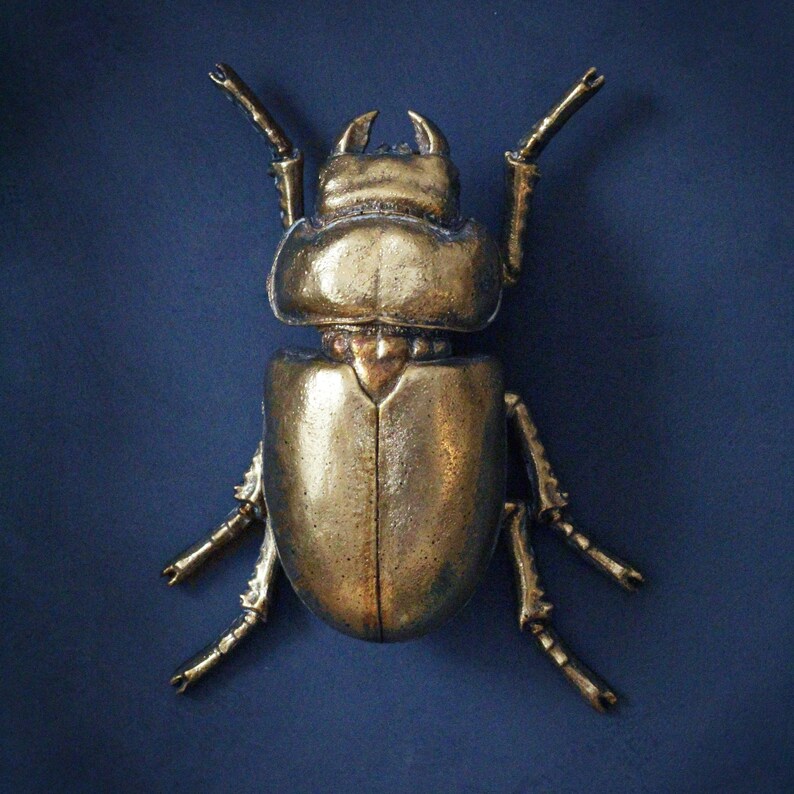 Large Gold Lady Stag Beetle image 2
