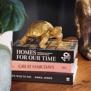 Puede incluir: Una figura de tortuga de color dorado sobre una pila de tres libros. El libro superior se titula "HOMES FOR OUR TIME", el del medio "GREAT HAIR DAYS" y el inferior "A modern way to eat" de Anna Jones. La tortuga presenta un caparazón con textura.