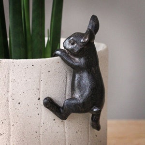 Percha para macetas Black Hare