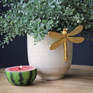 Gold Dragonfly Pot Hanger