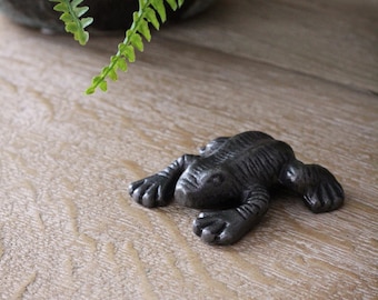 May include: A small, gray metal frog figurine with a textured surface. The frog is sitting on a light brown wooden surface.