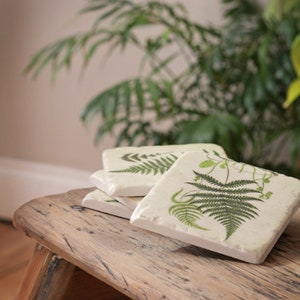 Set of 4 Assorted 'Fern' Coasters
