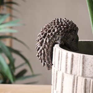 May include: A brown and gray ceramic hedgehog figurine peeking over the edge of a white planter with a textured surface.