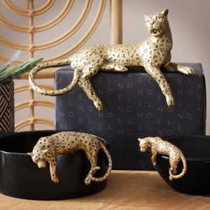 Set of 3 Leopard Ornaments, Shelf Sitter and Pot Hangers