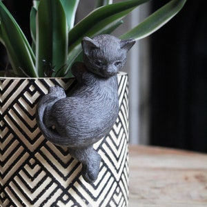 Swinging Cat Pot Hanger
