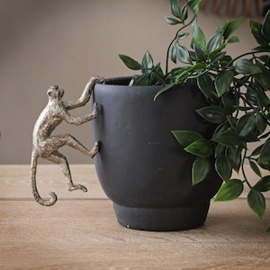 May include: A black ceramic planter with a climbing monkey sculpture in a bronze finish. The planter holds green leafy plants. The monkey is positioned as if it is climbing the side of the planter. The planter sits on a wooden surface.