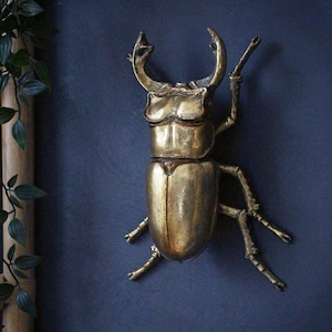 Large Gold Stag Beetle Wall Decor, Wall Ornament