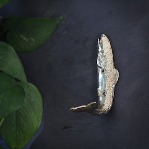 May include: A silver-toned fish-shaped hook for hanging items on a wall. The hook is made of metal and has a realistic fish design.