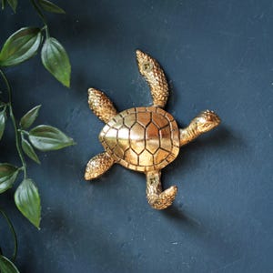 Könnte beinhalten: Ein goldfarbener Wandhaken aus Metall in Form einer Meeresschildkröte. Die Schildkröte hat einen strukturierten Panzer und Flossen, mit zwei sichtbaren Schraublöchern an der oberen und unteren Flosse zur Befestigung. Die Oberfläche ist metallisch.