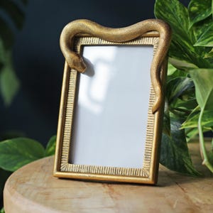 May include: A gold-coloured rectangular picture frame, with a snake design wrapped around the top. The frame has a textured border and is set on a wooden surface. Green plants are in the background.