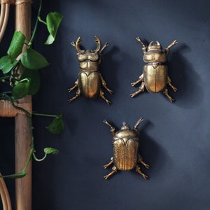 Gold Wall Beetles, Wall Decor, Wall Art