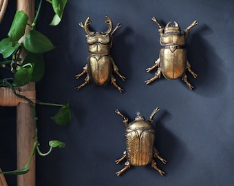 Gold Wall Beetles, Wall Decor, Wall Art