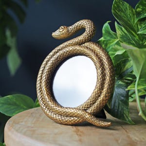 May include: A gold-coloured, snake-shaped picture frame. The frame is coiled around a circular mirror, with the snake's head at the top. The frame is on a wooden surface, with green plants in the background. The frame is approximately 15 cm tall.