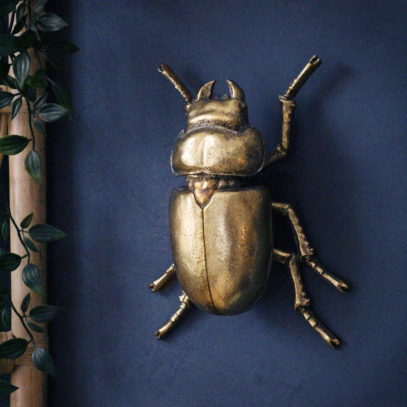 Large Gold Lady Stag Beetle image 1