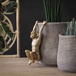 Monkey Accessories