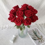 Rose Clothing