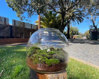 Homemade Moss Terrarium with figurines