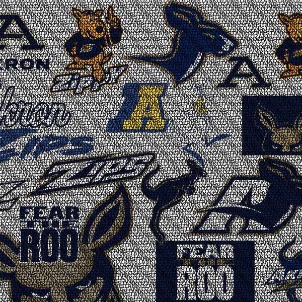 Akron SVG Bundle, Zips Football, SVG Bundle, Cricut, Printable, University, College, Basketball, Svg Png Pdf, Download