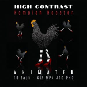 May include: Animated image with a black background featuring a rooster illustration with white dots and red high heels. The text "HIGH CONTRAST Rompish Rooster" is at the top, and "ANIMATED" is at the bottom.