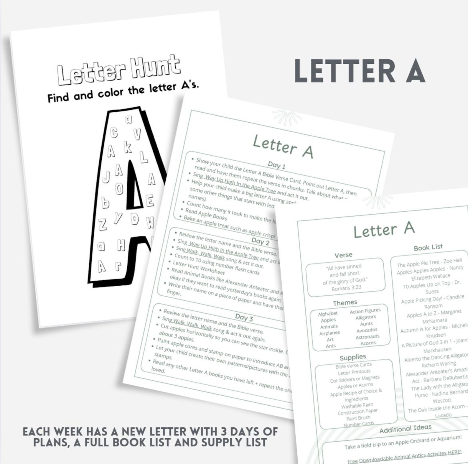 Faith-Based Homeschooling for Middle Schoolers