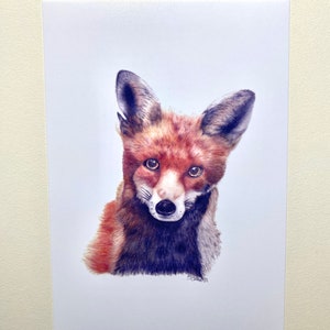 Fox Art Print