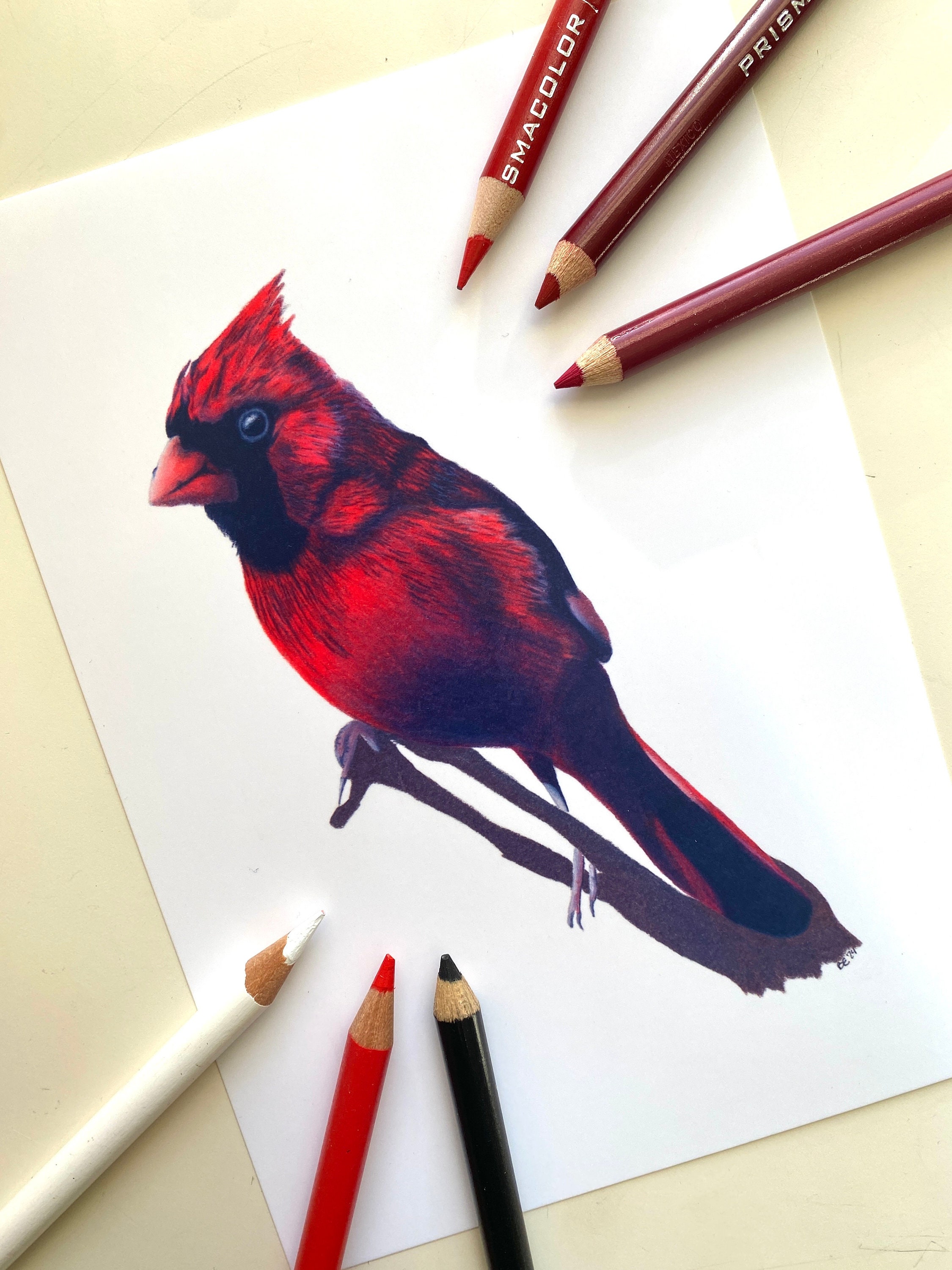 Cardinal Art Print - Etsy