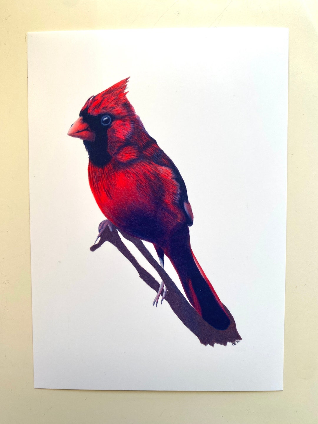 Cardinal Art Print - Etsy