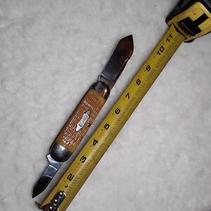 Case XX Folding Pocket KNIFE Elephant Toenail 62050 Light Brown Bone Sunfish 94 zdjęcie 7
