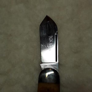 Case XX Folding Pocket KNIFE Elephant Toenail 62050 Light Brown Bone Sunfish 94 zdjęcie 12