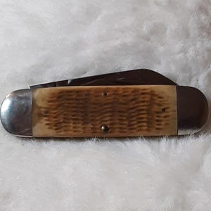 Case XX Folding Pocket KNIFE Elephant Toenail 62050 Light Brown Bone Sunfish 94 zdjęcie 6