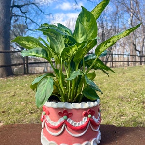 Pode incluir: Uma planta verde e branca variegada em um vaso de cerâmica em forma de bolo rosa e branco. O vaso tem cobertura branca e decorações vermelhas e verdes.