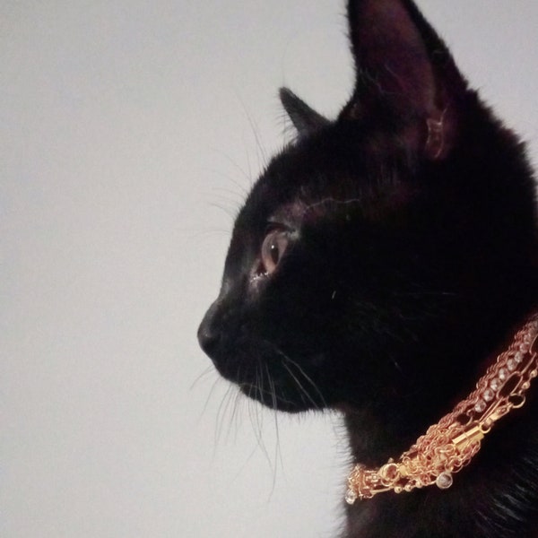 Gold jewelry for kitty cats. COMING SOON.