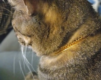 Gold chains for cats. COMING SOON.