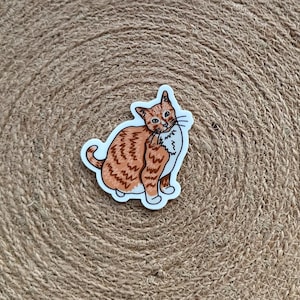 Orange Tabby Cat Sticker Waterproof Water Bottle Laptop Sticker Kitty Gift